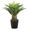 Plant-32 Inch Agave Attenuata Plant -Estally Home Decor Store 214025 none none plant signature 01