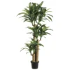 Plant-5 Foot Dracaena Tree -Estally Home Decor Store 216327 none none tree signature 01