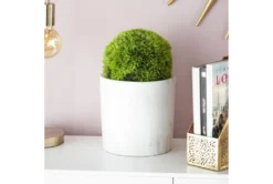 9" Green Plastic Artificial Foliage -Estally Home Decor Store 278123 green multi media plant room 86