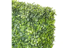 59" Boxwood Hedge -Estally Home Decor Store 278126 green multi media plant detail 44