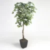 6' Ficus Tree In Black Square Metal Planter -Estally Home Decor Store 297330 green polyester tree signature 01