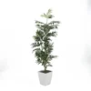 6' Phoenix Palm In White Square Metal Planter -Estally Home Decor Store 297335 green polyester tree signature 01